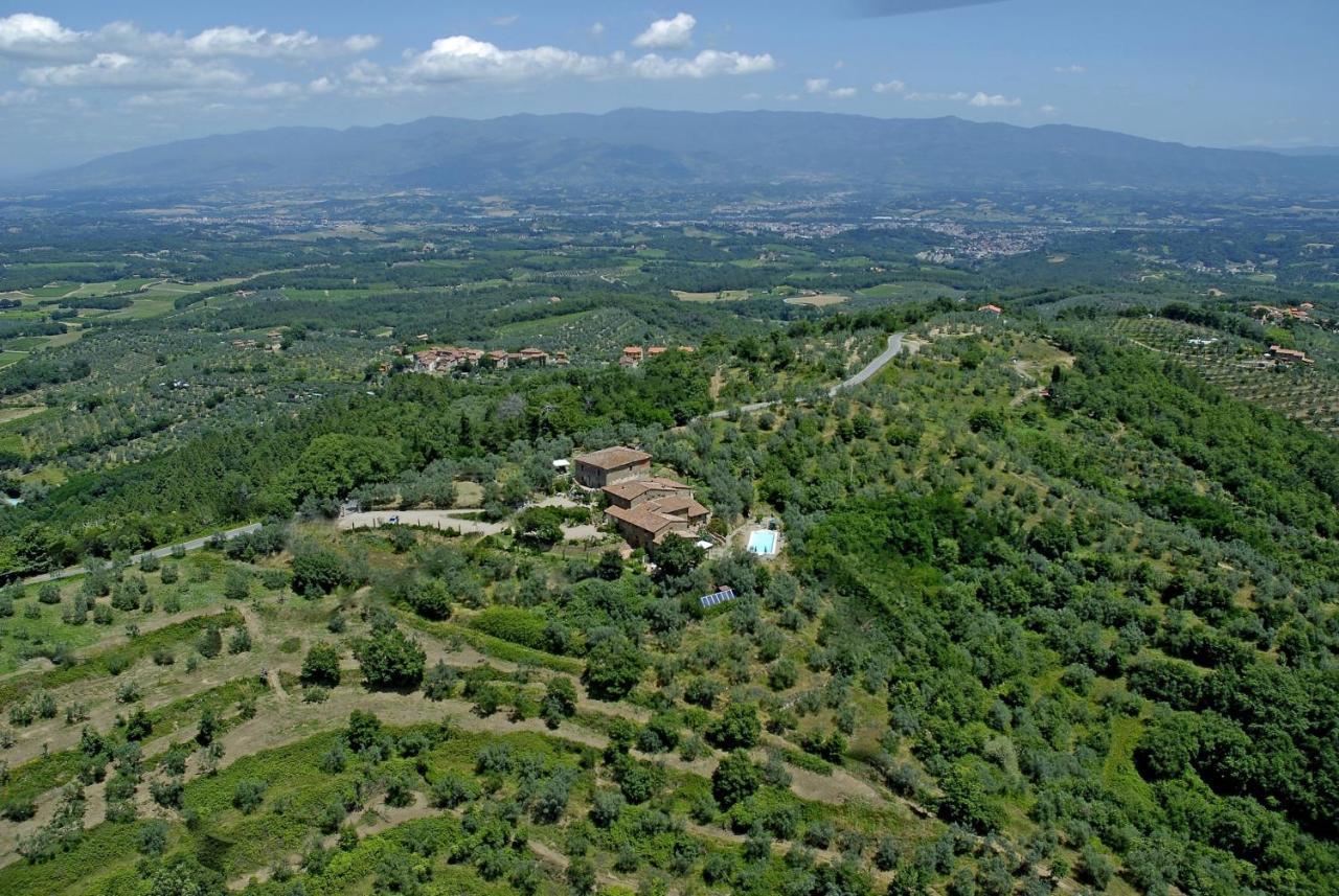 Ventena Vecchia Antico Frantoio