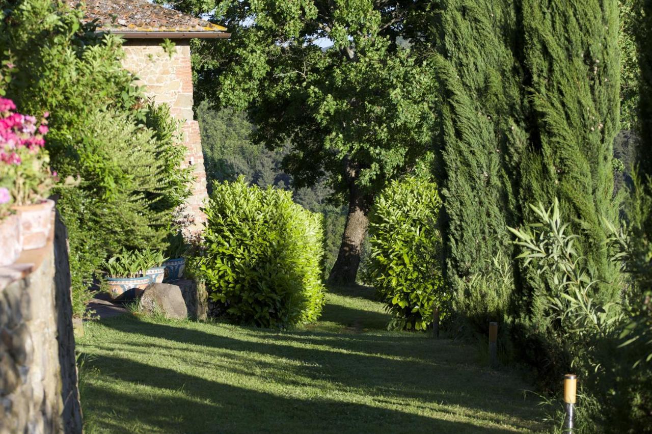 Apartment Ventena Vecchia Antico Frantoio Montevarchi