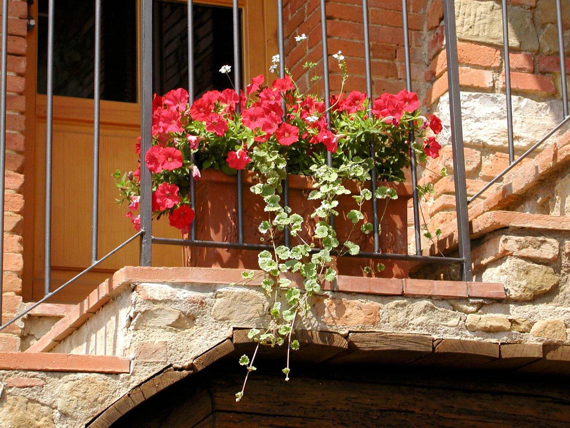 Ventena Vecchia Antico Frantoio *