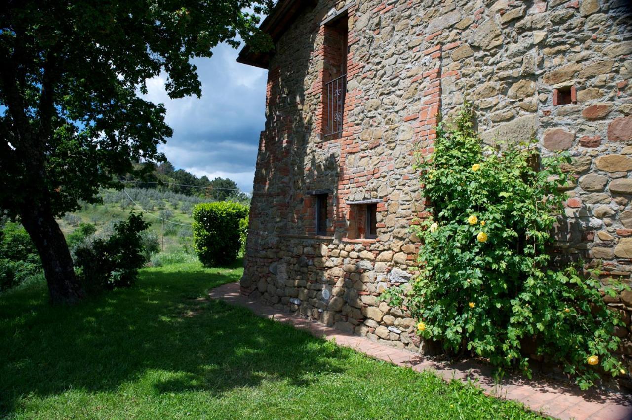 Ventena Vecchia Antico Frantoio Montevarchi