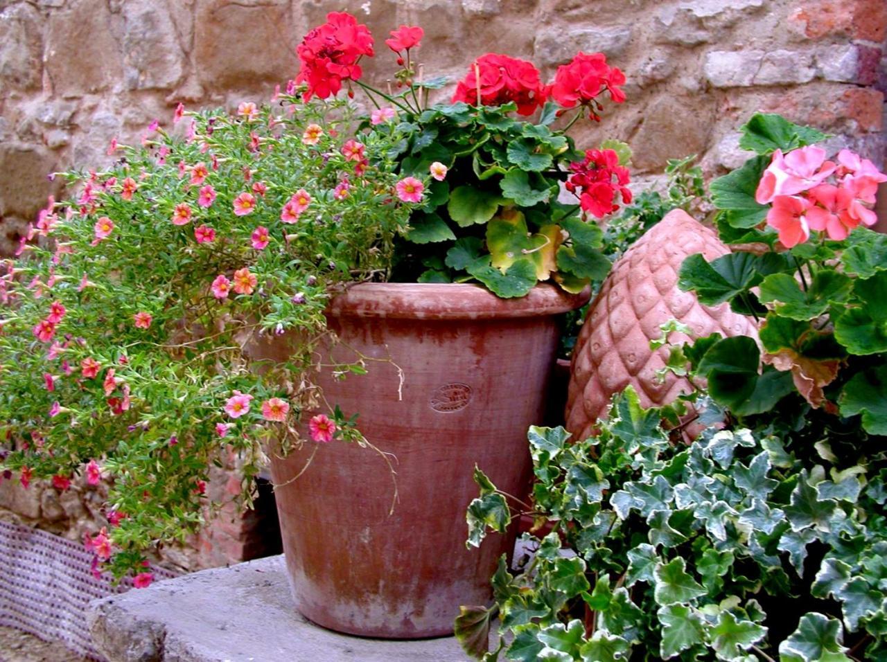 Ventena Vecchia Antico Frantoio