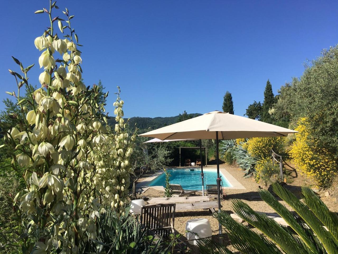 Apartment Ventena Vecchia Antico Frantoio Montevarchi