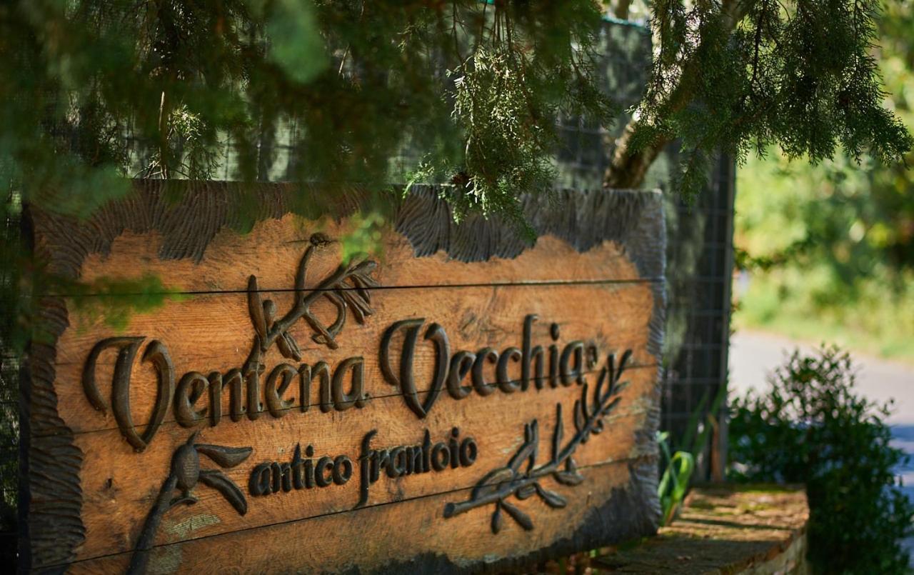 Ventena Vecchia Antico Frantoio Apartment